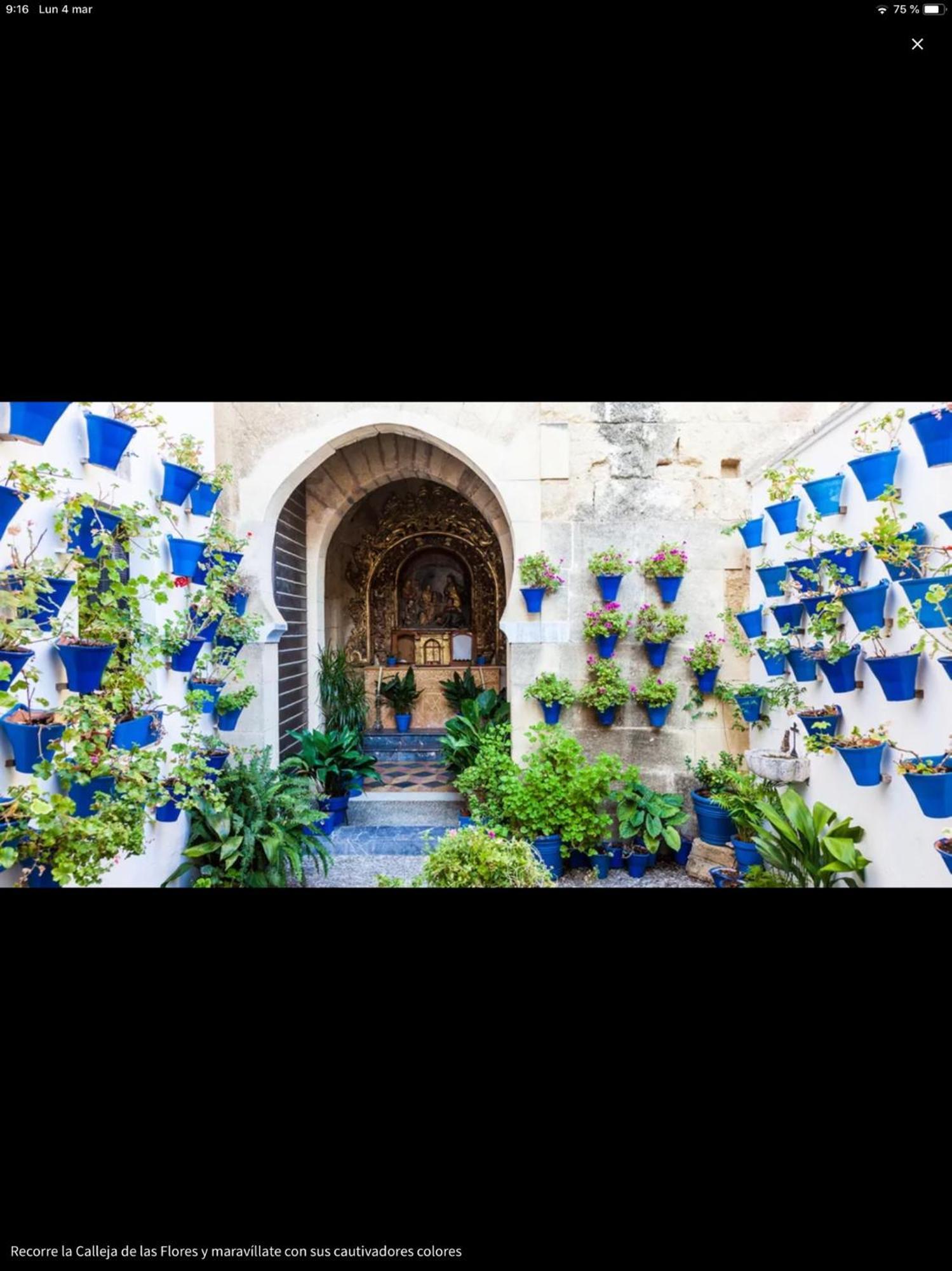 코르도바 Centro Historico Mezquita Juderia La Preferida 아파트 외부 사진