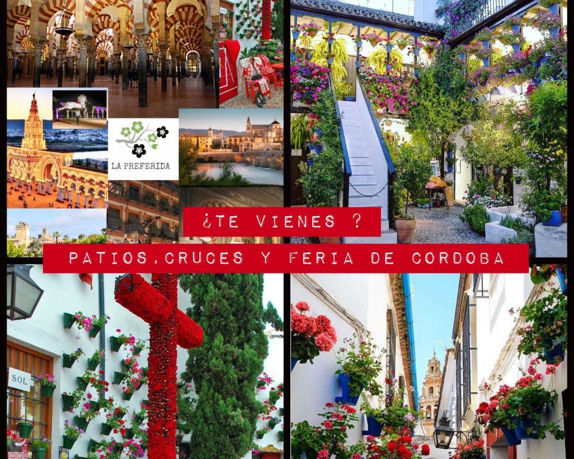 코르도바 Centro Historico Mezquita Juderia La Preferida 아파트 외부 사진